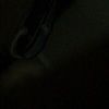 pushkin11